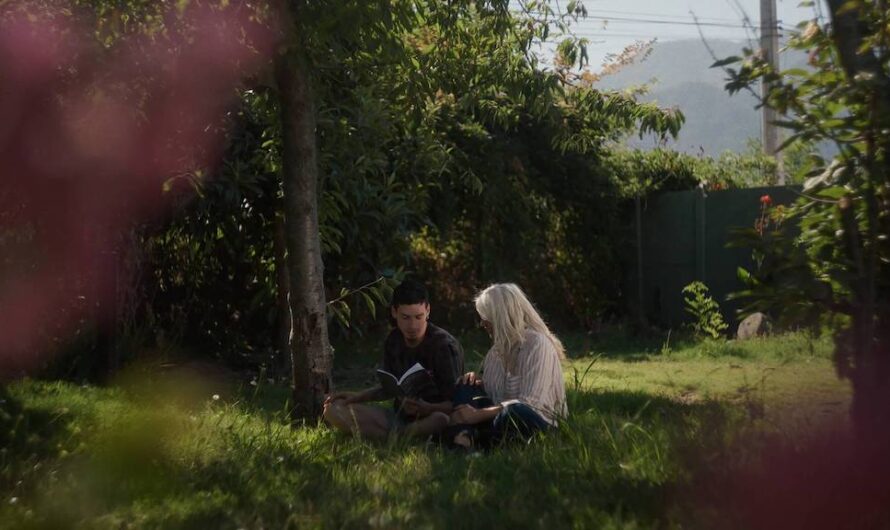 LA CORAZONADA: ¿FICCIÓN ADOLESCENTE?