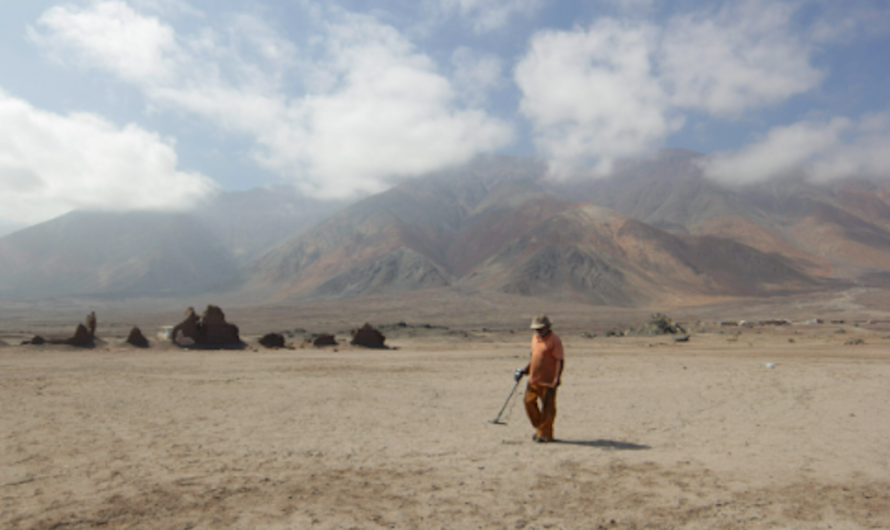BELLEZA, DESOLACIÓN Y LOS CUATRO ELEMENTOS