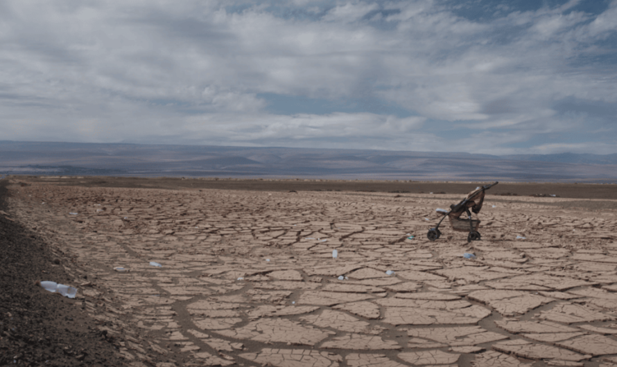 SI VAS PARA CHILE: TESTIMONIOS DE MIGRACIÓN Y CRISIS SOCIAL